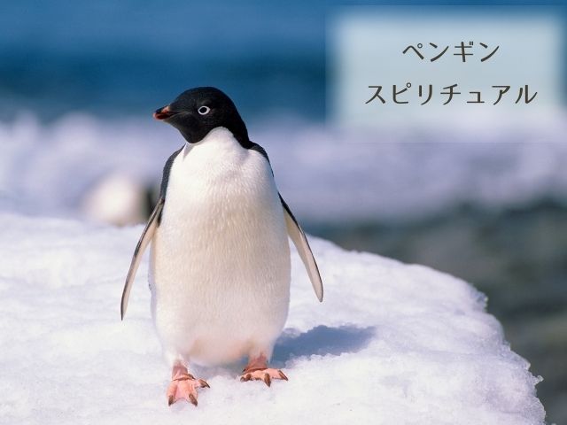 ペンギン・スピリチュアル・意味・愛・象徴・幸運・恋愛・メッセージ